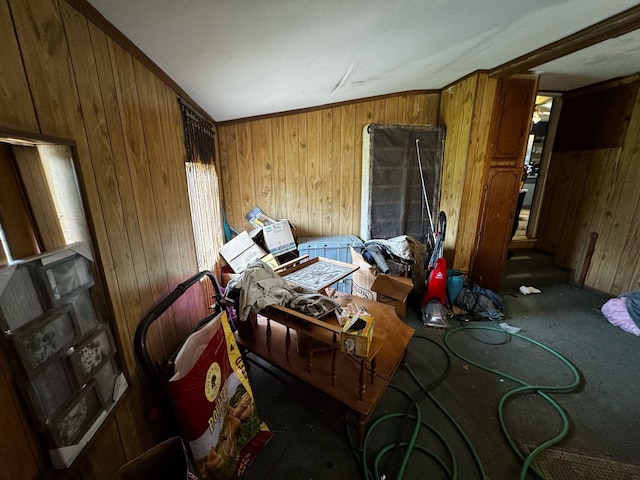 interior space with wooden walls