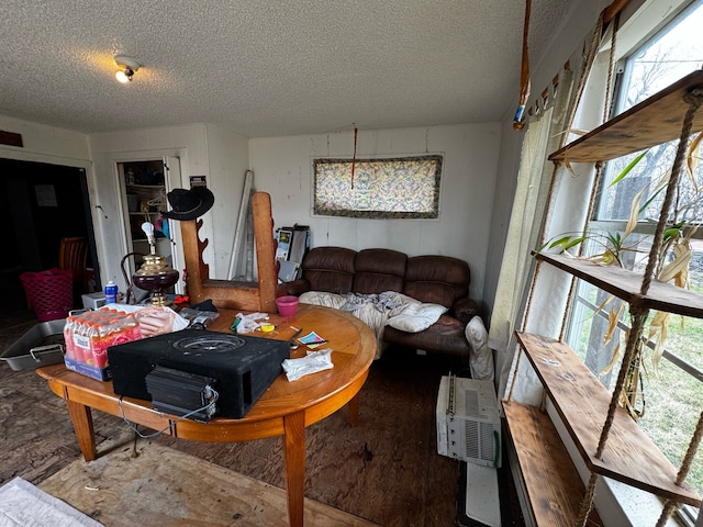 living room featuring a wealth of natural light and a textured ceiling