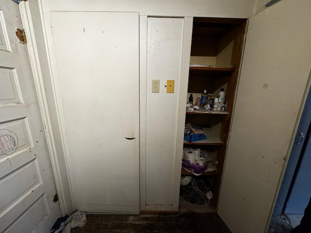 view of closet