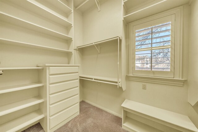 2909 Canyon Creek Dr, Sherman, TX 75092 - walk in closet featuring carpet floors