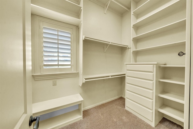 2909 Canyon Creek Dr, Sherman, TX 75092 - walk in closet featuring carpet