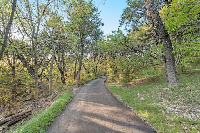 view of road featuring a wooded view