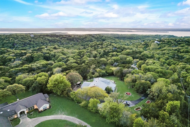 bird's eye view with a view of trees and a water view