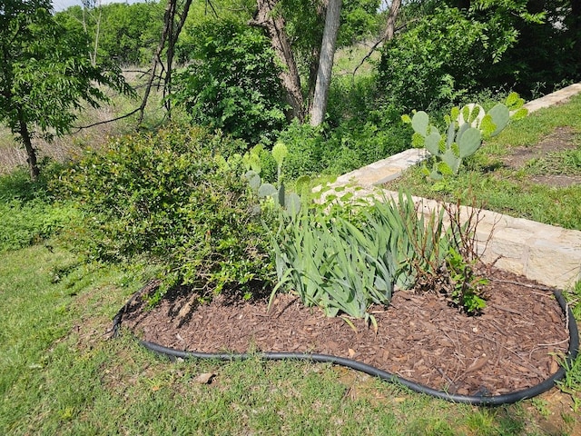 1416 Connie St, Burleson, TX 76028 - view of yard