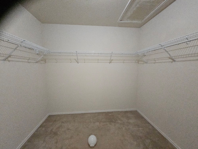 1416 Connie St, Burleson, TX 76028 - spacious closet with attic access and carpet floors