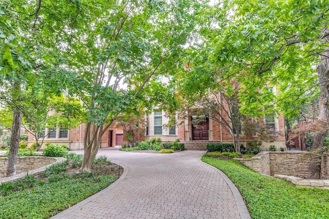 view of home's community with curved driveway