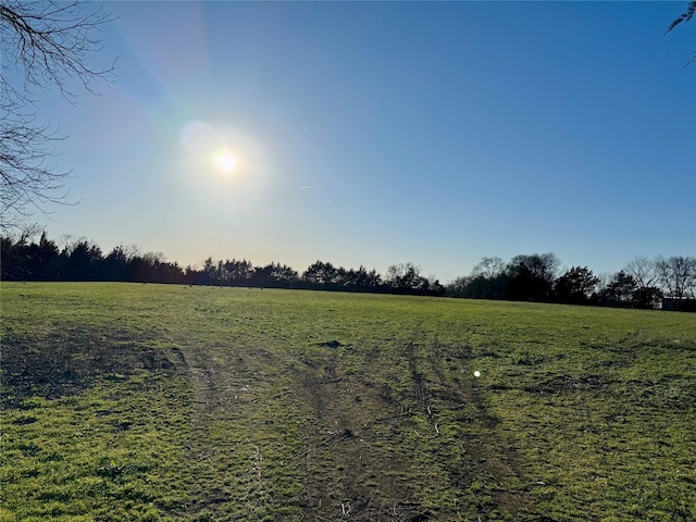 view of landscape featuring a rural view