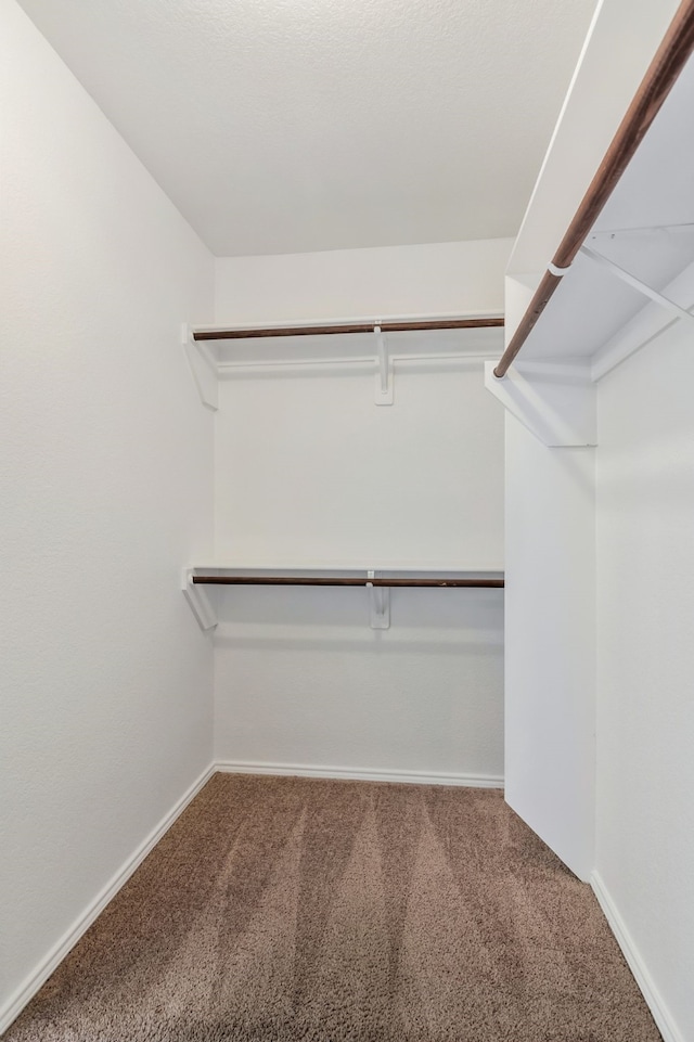 walk in closet with carpet flooring