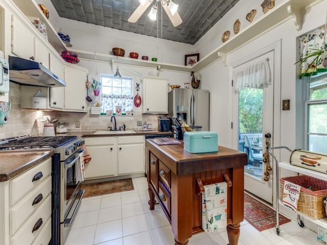 932 Williams St, Rockwall, TX 75087 - kitchen with appliances with stainless steel finishes, under cabinet range hood, a ceiling fan, an ornate ceiling, and tasteful backsplash
