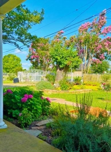 932 Williams St, Rockwall, TX 75087 - view of yard
