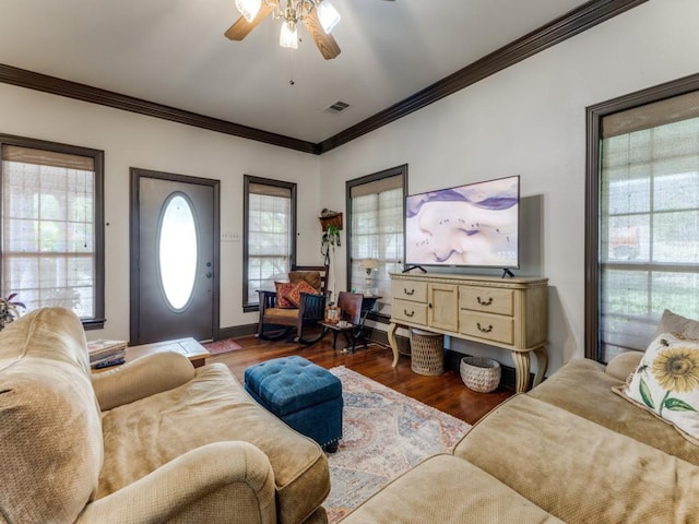 932 Williams St, Rockwall, TX 75087 - living room with a ceiling fan, wood finished floors, and ornamental molding
