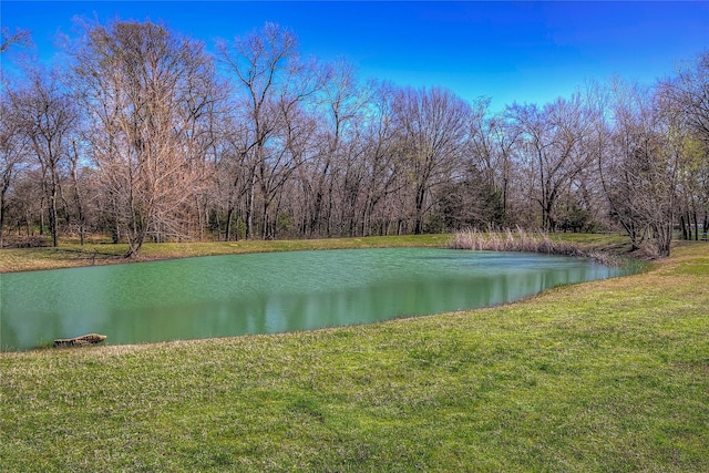 950 Rs County Road 1520, Point, TX 75472 - water view