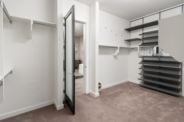 spacious closet with carpet flooring