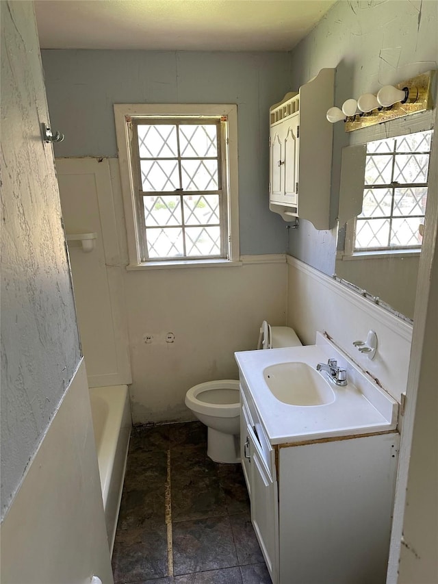 bathroom with a wealth of natural light, vanity, a tub, and toilet