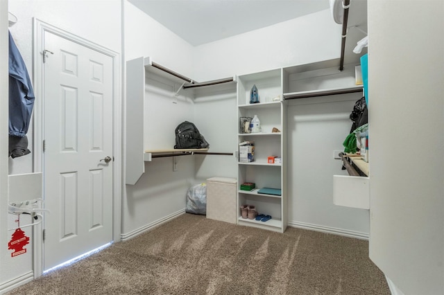 spacious closet with carpet