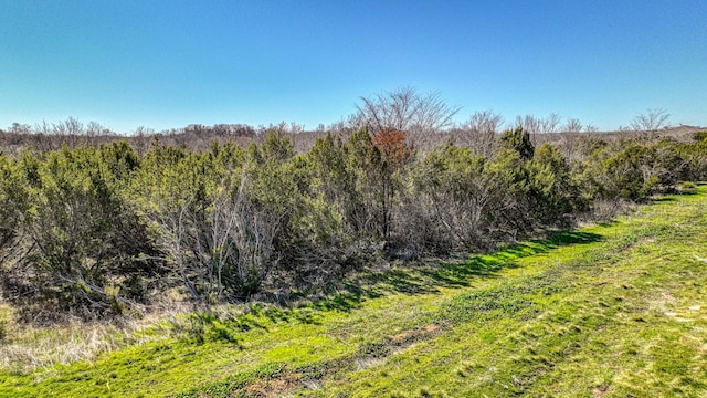 BedTBD Preserve Street, Weatherford, TX 76085 - view of nature