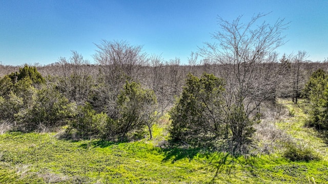 BedTBD Preserve Street, Weatherford, TX 76085 - view of landscape with a wooded view