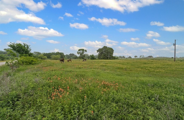 view of landscape with a rural view