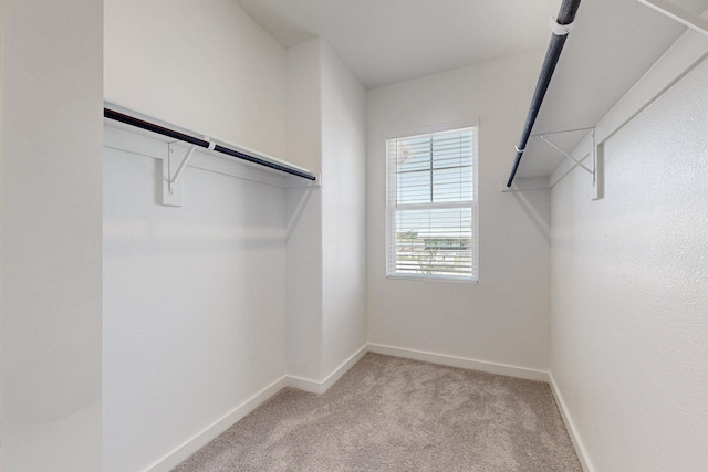walk in closet with light colored carpet