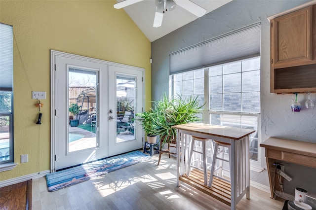 900 Crest Ridge Ct, Irving, TX 75061 - entryway with french doors, vaulted ceiling, plenty of natural light, a textured wall, and light wood-style flooring