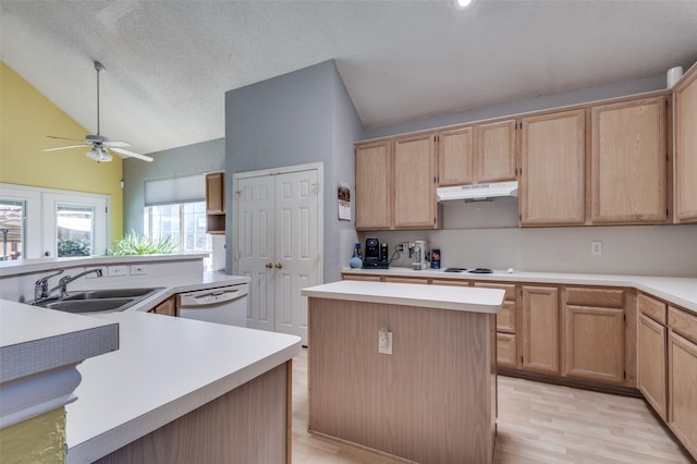 900 Crest Ridge Ct, Irving, TX 75061 - kitchen with a sink, a center island, white dishwasher, lofted ceiling, and light brown cabinets