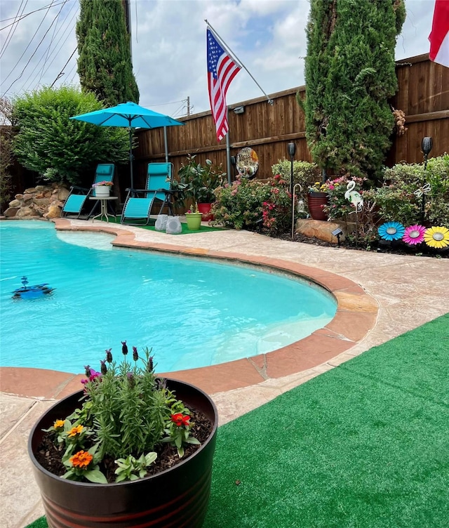 900 Crest Ridge Ct, Irving, TX 75061 - view of swimming pool