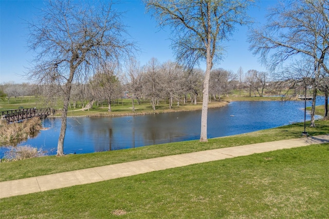 900 Crest Ridge Ct, Irving, TX 75061 - water view