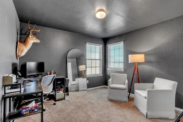 1380 Levi Ln, Forney, TX 75126 - home office featuring a textured wall, baseboards, carpet floors, and a textured ceiling