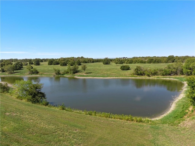 2522 S Robinson Dr, Robinson, TX 76706 - view of water feature