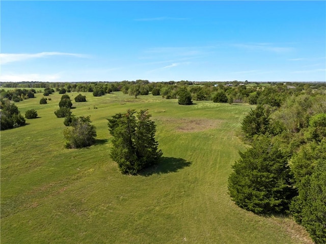 2522 S Robinson Dr, Robinson, TX 76706 - birds eye view of property