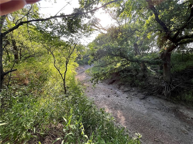 18025 SW Cr Road SW Unit 4310, Road, Dawson, TX 76639