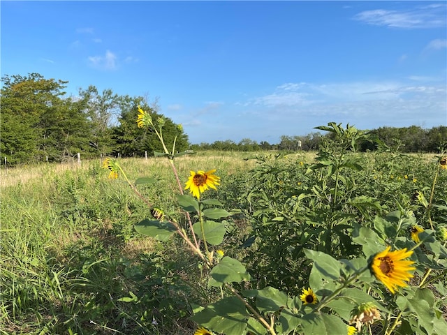 18025 SW Cr Road SW Unit 4310, Road, Dawson, TX 76639
