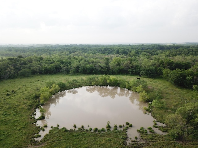 18025 SW Cr Road SW Unit 4310, Road, Dawson, TX 76639