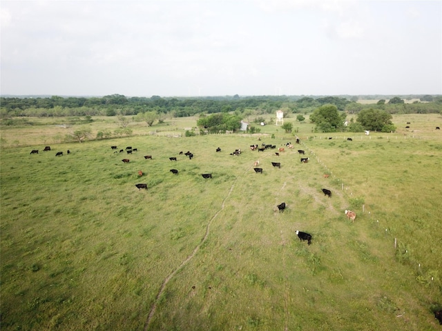 18025 SW Cr Road SW Unit 4310, Road, Dawson, TX 76639