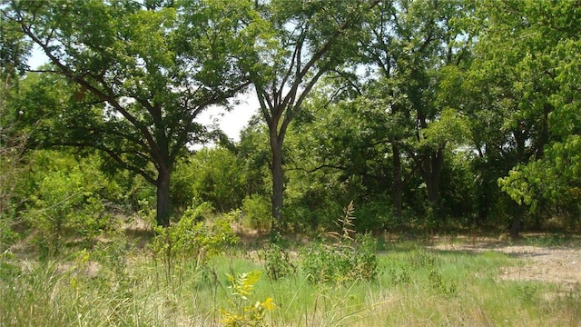 116 Veal St, Marlin, TX 76661
