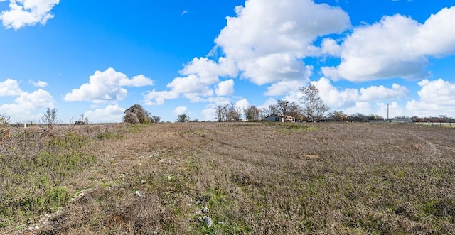 view of local wilderness with a rural view