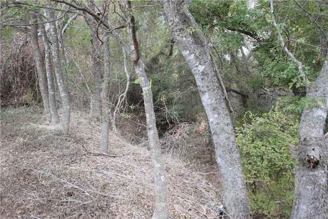 view of local wilderness featuring a wooded view