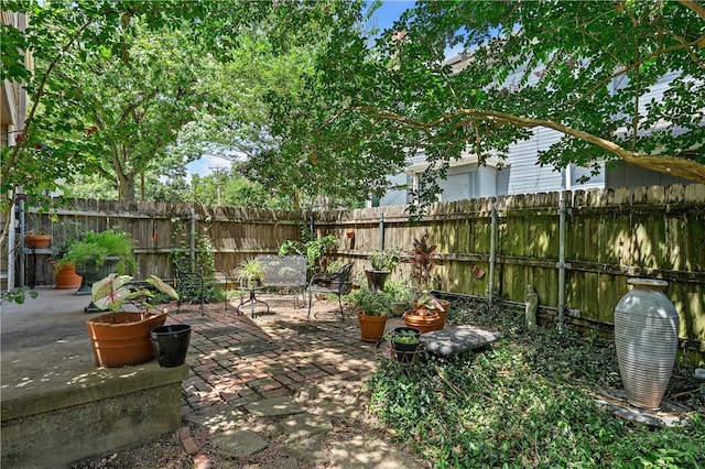 view of yard with a patio area and a fenced backyard