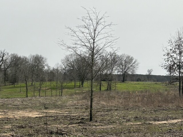 TBD County Road 2425 Tract #1, Como, TX 75431