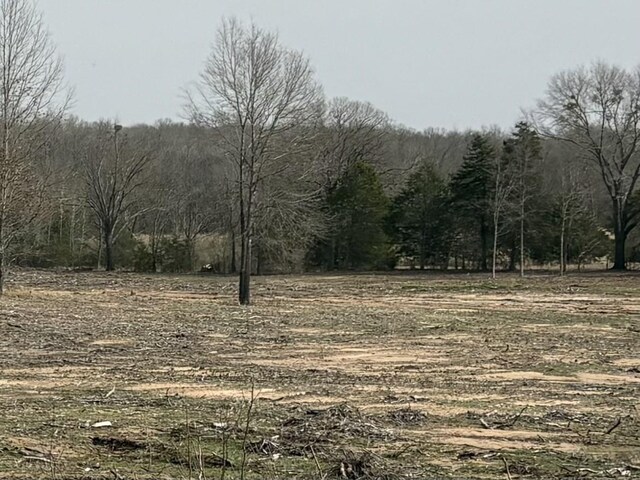TBD County Road 2425 Tract #1, Como, TX 75431