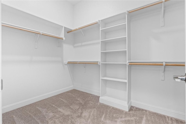 spacious closet featuring carpet