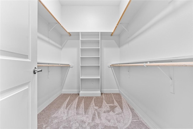 walk in closet featuring carpet flooring