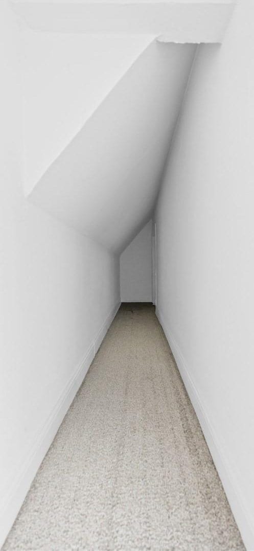 bonus room with light carpet and lofted ceiling