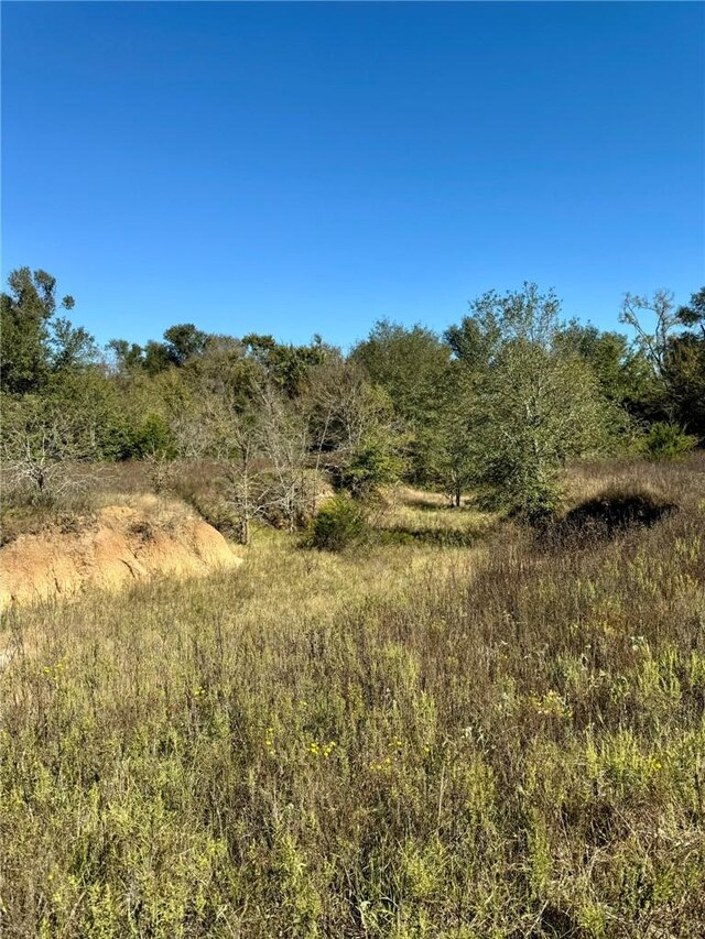 165AC Turner Ln, Franklin, TX 77856