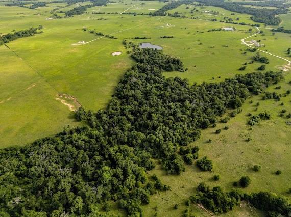 165AC Turner Ln, Franklin, TX 77856