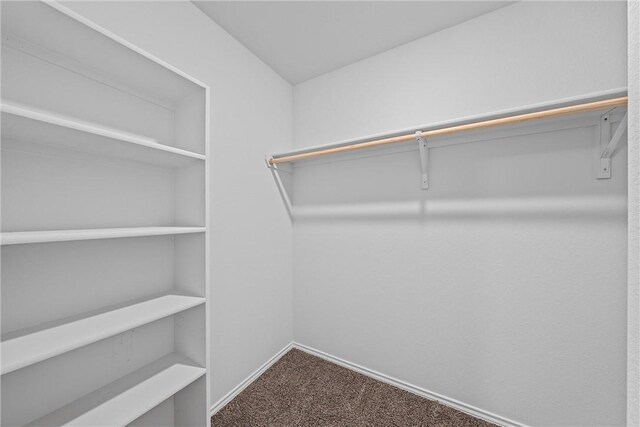 960 Chambray Dr, Troy, TX 76579 - spacious closet with carpet