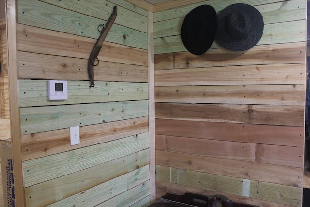 details featuring wooden walls