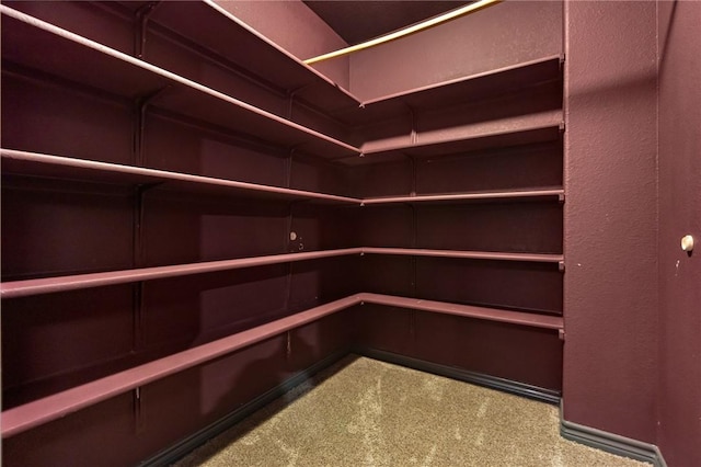 walk in closet with carpet flooring