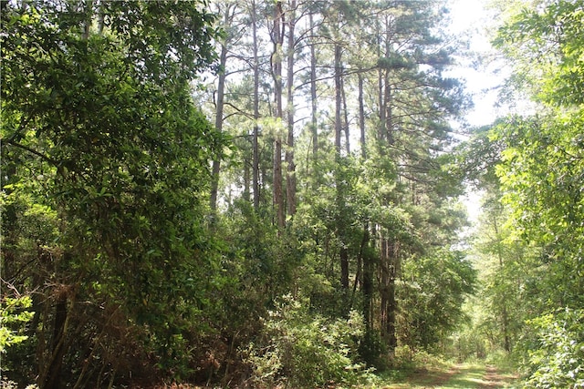 0 Rolling Hills Rd, Navasota, TX 77363