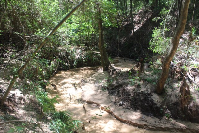 0 Rolling Hills Rd, Navasota, TX 77363